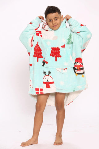 Frosty Friends Hoodie - TheHugSnugStore